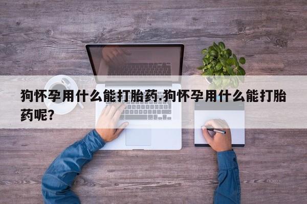 米非米索打胎药联系方式堕胎药购买途径狗怀孕用什么能打胎药.狗怀孕用什么能打胎药呢？