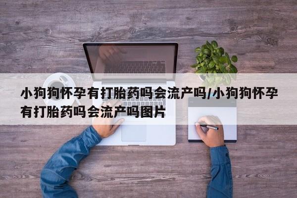 米非米索打胎药联系方式堕胎药购买途径小狗狗怀孕有打胎药吗会流产吗/小狗狗怀孕有打胎药吗会流产吗图片
