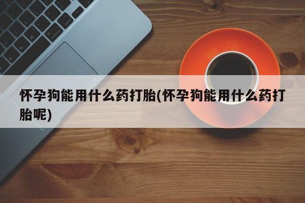 米非米索打胎药联系方式堕胎药购买途径怀孕狗能用什么药打胎(怀孕狗能用什么药打胎呢)